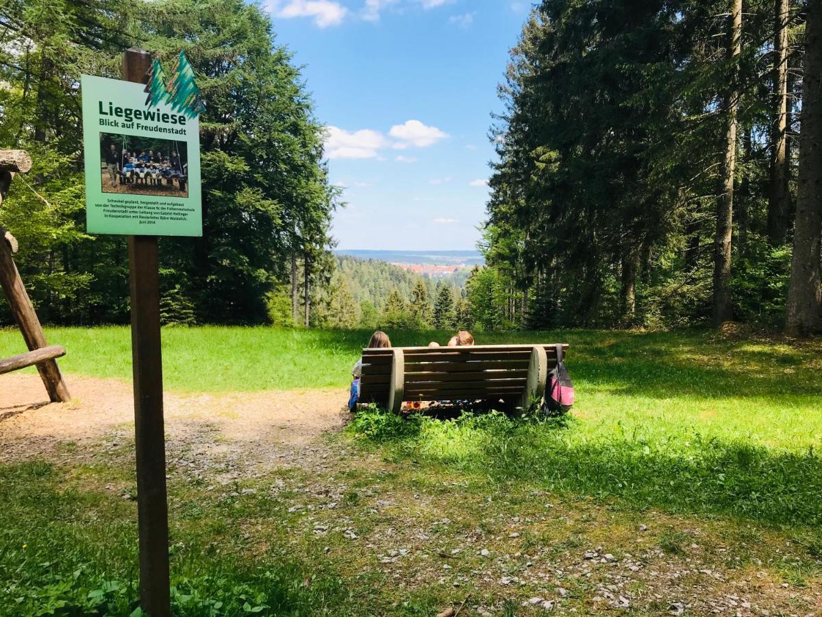 פרוידנשטאדט Haus Jenni Im Schwarzwald, 3,5-Zimmer, Grosse Terrasse מראה חיצוני תמונה