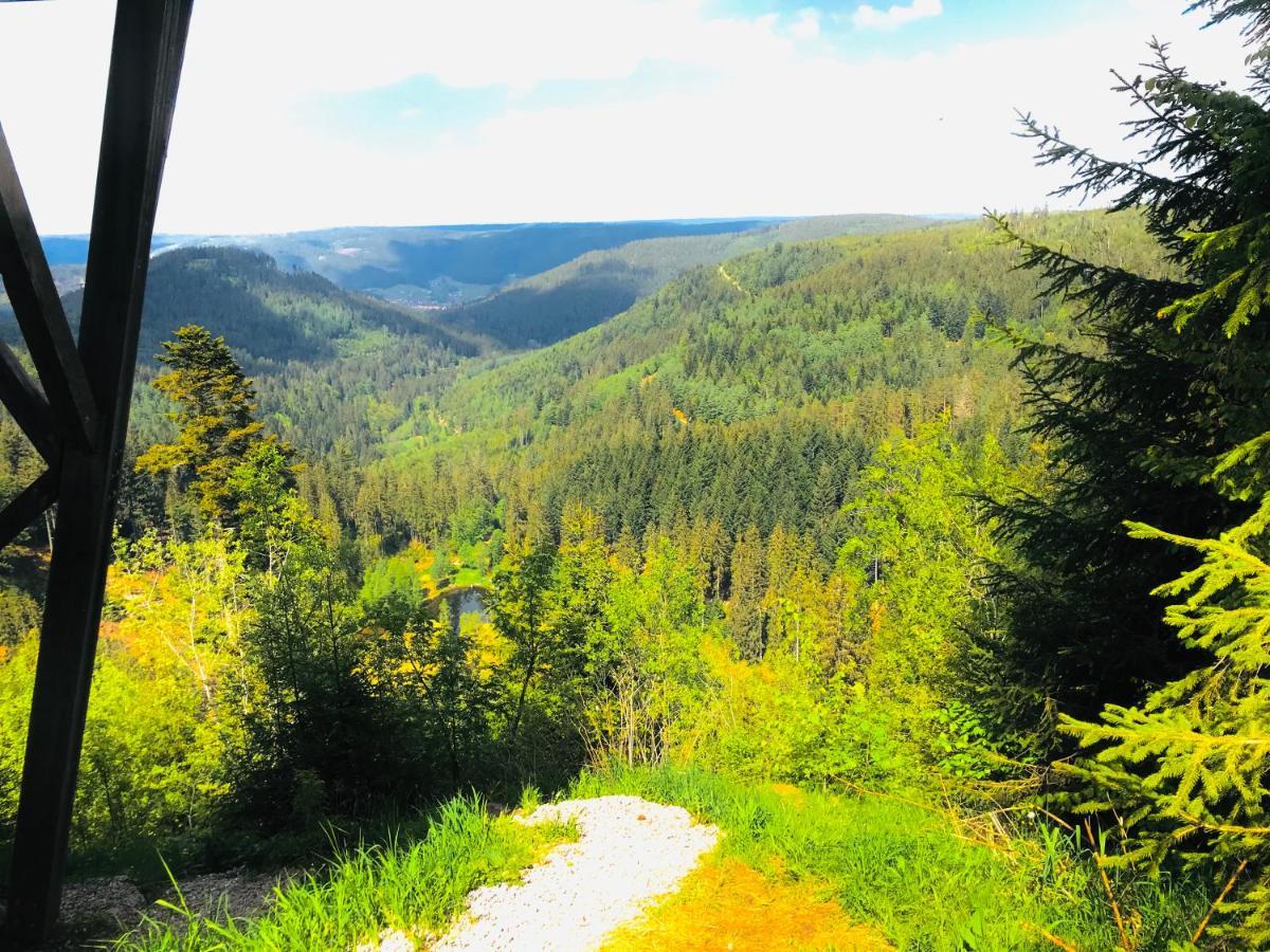פרוידנשטאדט Haus Jenni Im Schwarzwald, 3,5-Zimmer, Grosse Terrasse מראה חיצוני תמונה