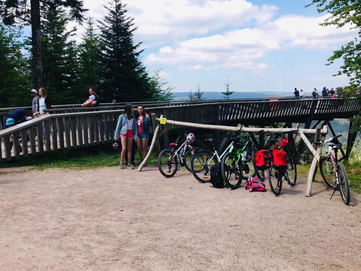 פרוידנשטאדט Haus Jenni Im Schwarzwald, 3,5-Zimmer, Grosse Terrasse מראה חיצוני תמונה