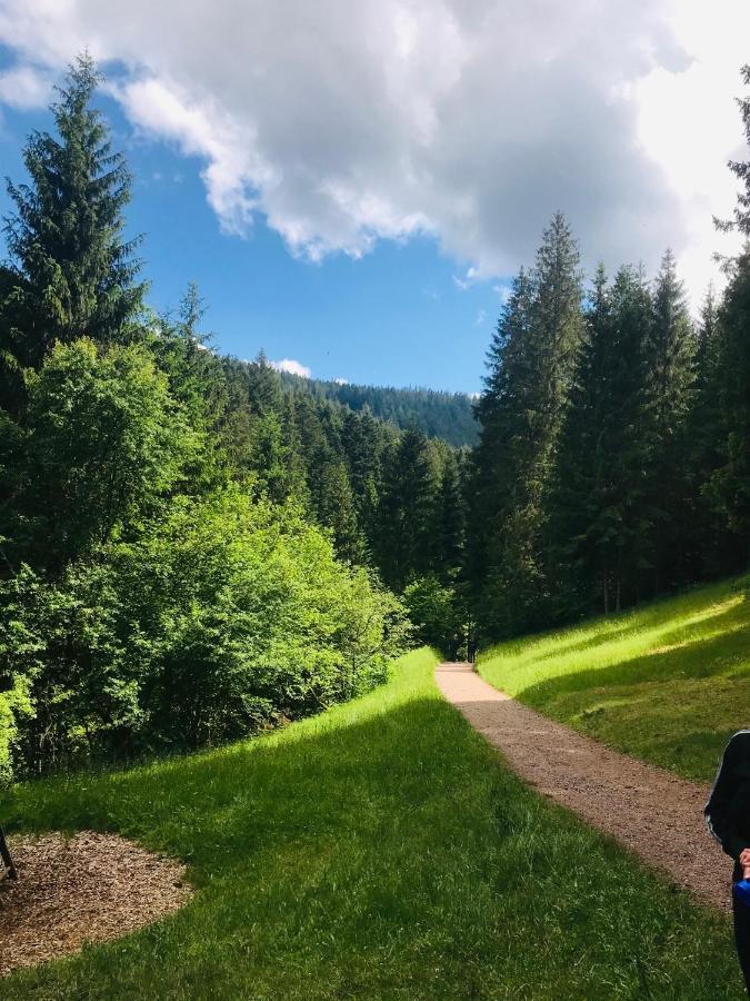 פרוידנשטאדט Haus Jenni Im Schwarzwald, 3,5-Zimmer, Grosse Terrasse מראה חיצוני תמונה