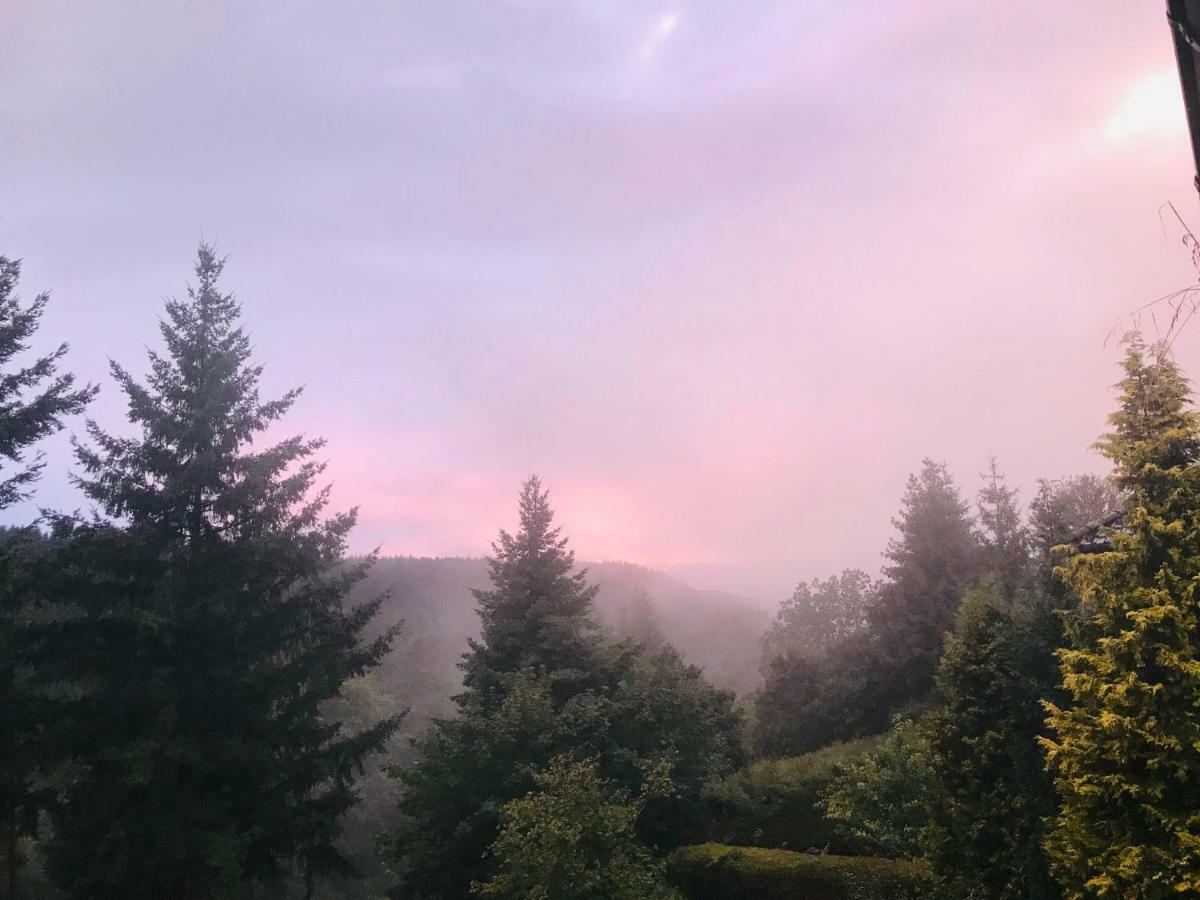 פרוידנשטאדט Haus Jenni Im Schwarzwald, 3,5-Zimmer, Grosse Terrasse מראה חיצוני תמונה