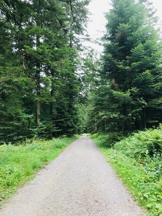 פרוידנשטאדט Haus Jenni Im Schwarzwald, 3,5-Zimmer, Grosse Terrasse מראה חיצוני תמונה